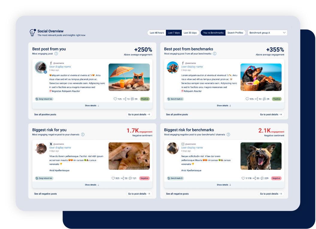 Social Overview 4